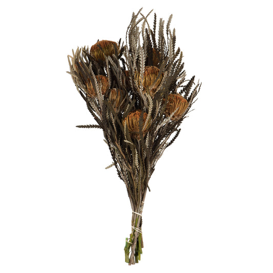 Vickerman 12" Autumn Banksia Foliage & Flowers-Preserved 4 oz Bundle
