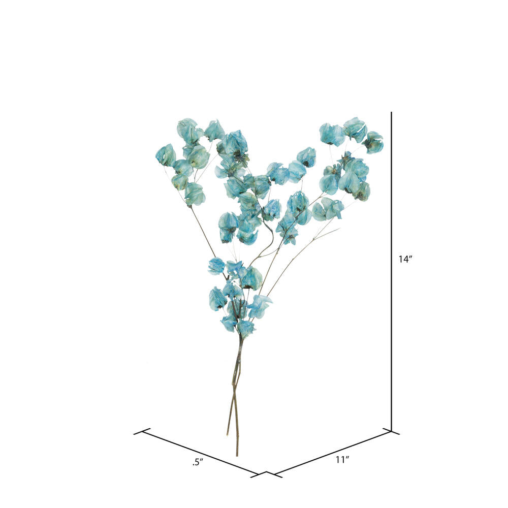 Vickerman 13.5-17" Light Blue Dried Cara Blossom Bundle Preserved.