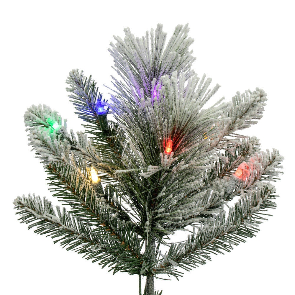 Vickerman 6.5' x 42" Flocked Jackson Pine Artificial Pre-Lit Christmas Tree Multi-Colored Lights.