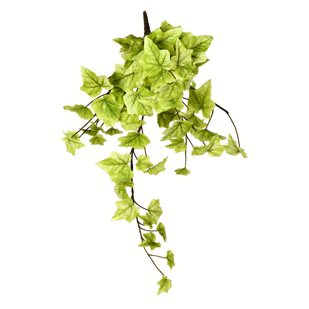 Vickerman 18" Artificial Light Green Ivy Hanging Bush Set of 3