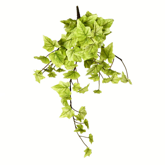 Vickerman 18" Artificial Light Green Ivy Hanging Bush Set of 3