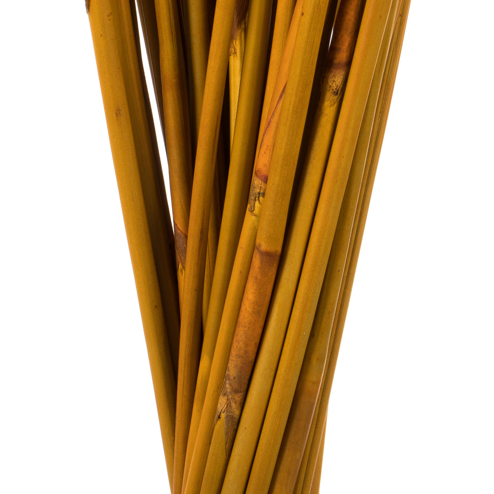 Vickerman 40" Aspen Gold Elephant Reed 10 oz Bundle Dried
