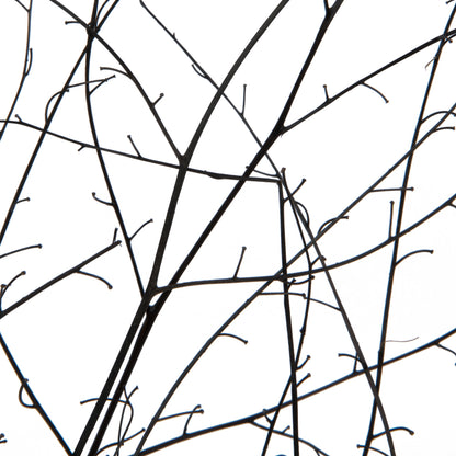 Vickerman 18-20" Natural Brown Skeleton Branch 3 packs (2 per pack) Dried