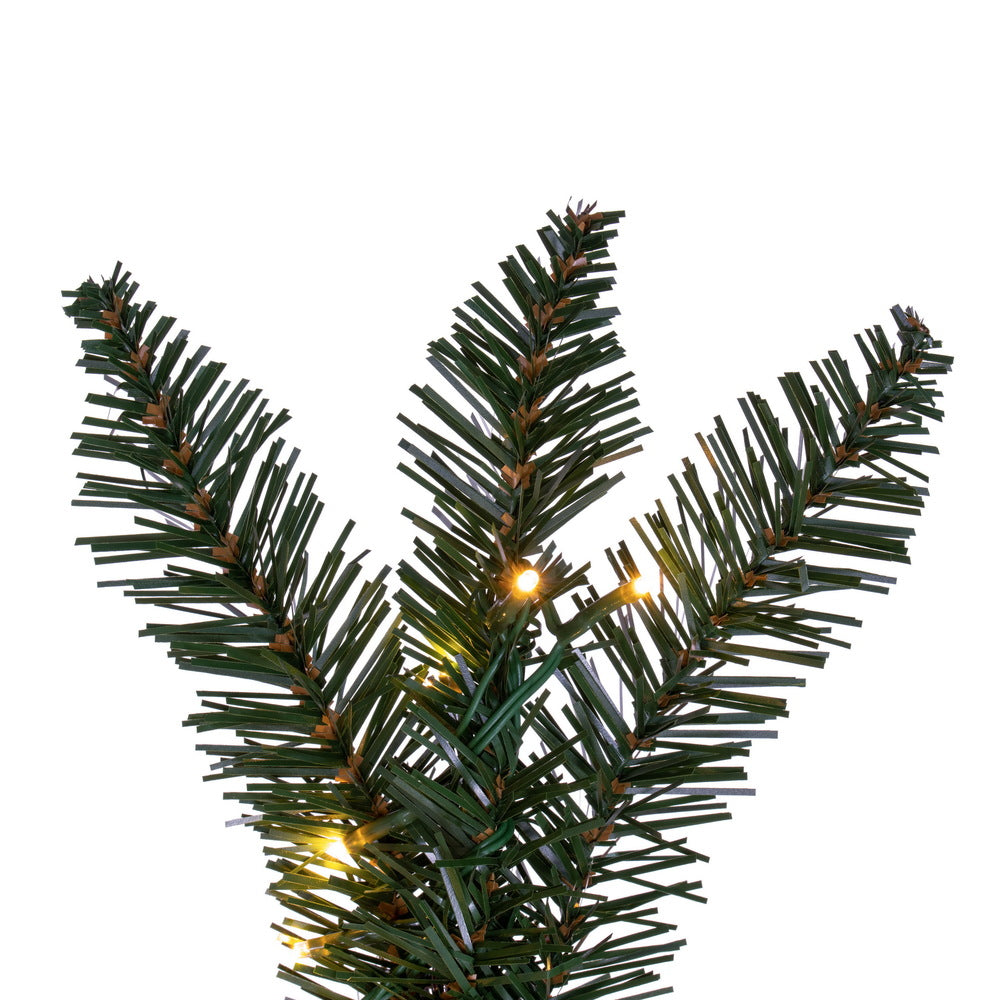 Vickerman 9' x 14" Camdon Fir Artificial Pre-Lit Garland Warm White 3mm Low Voltage LED Lights.
