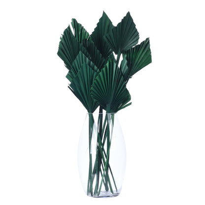 Vickerman Natural Botanicals 15.75 - 19.5" Emerald Dried Palm Spear 12 per bag.