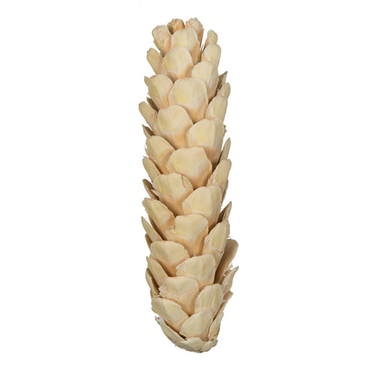 Vickerman Natural Botanicals 5.9" Strobus Medium Bleached. Includes 15 pieces per unit