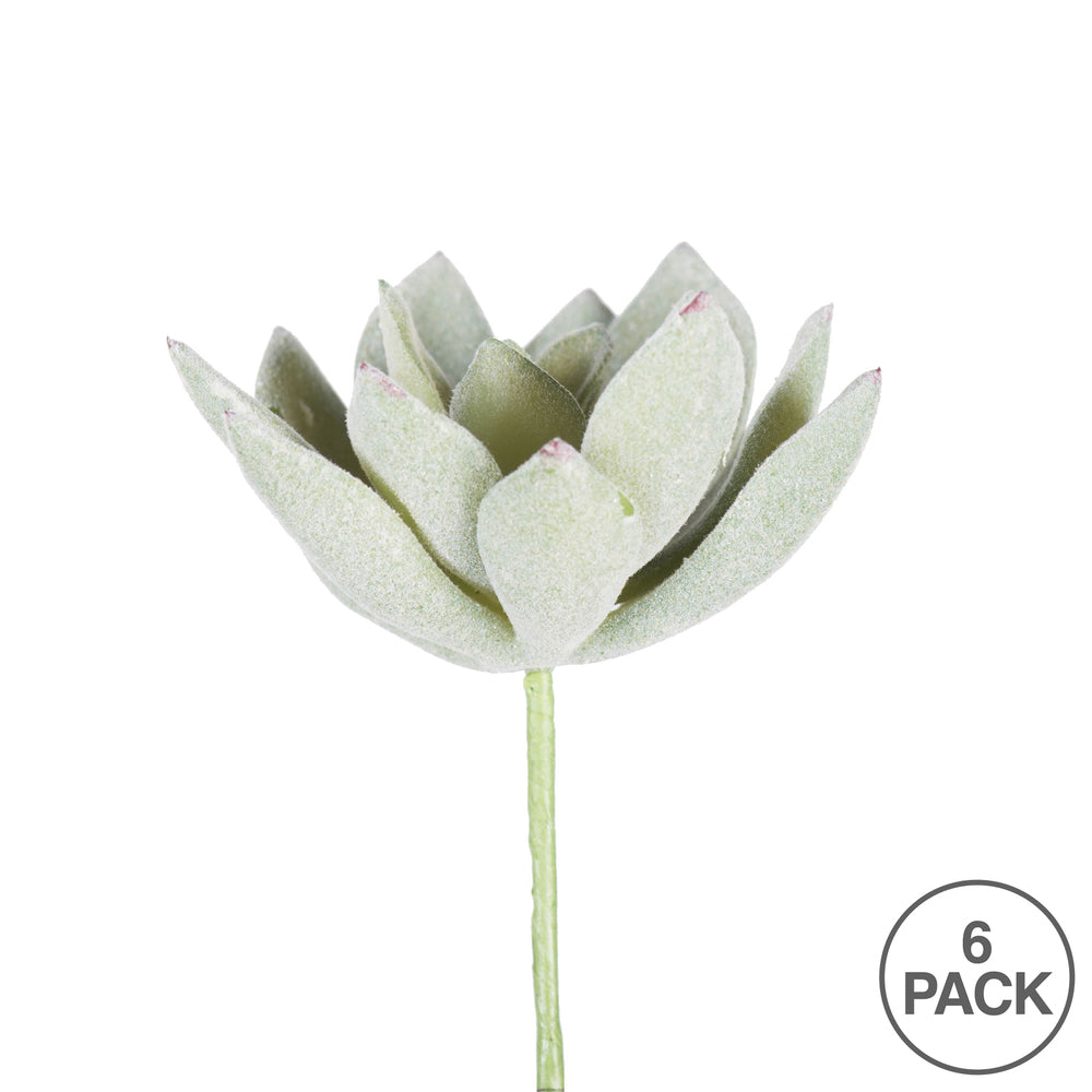 Vickerman 4" Artificial Frosted Echeveria Pick 6 per Bag