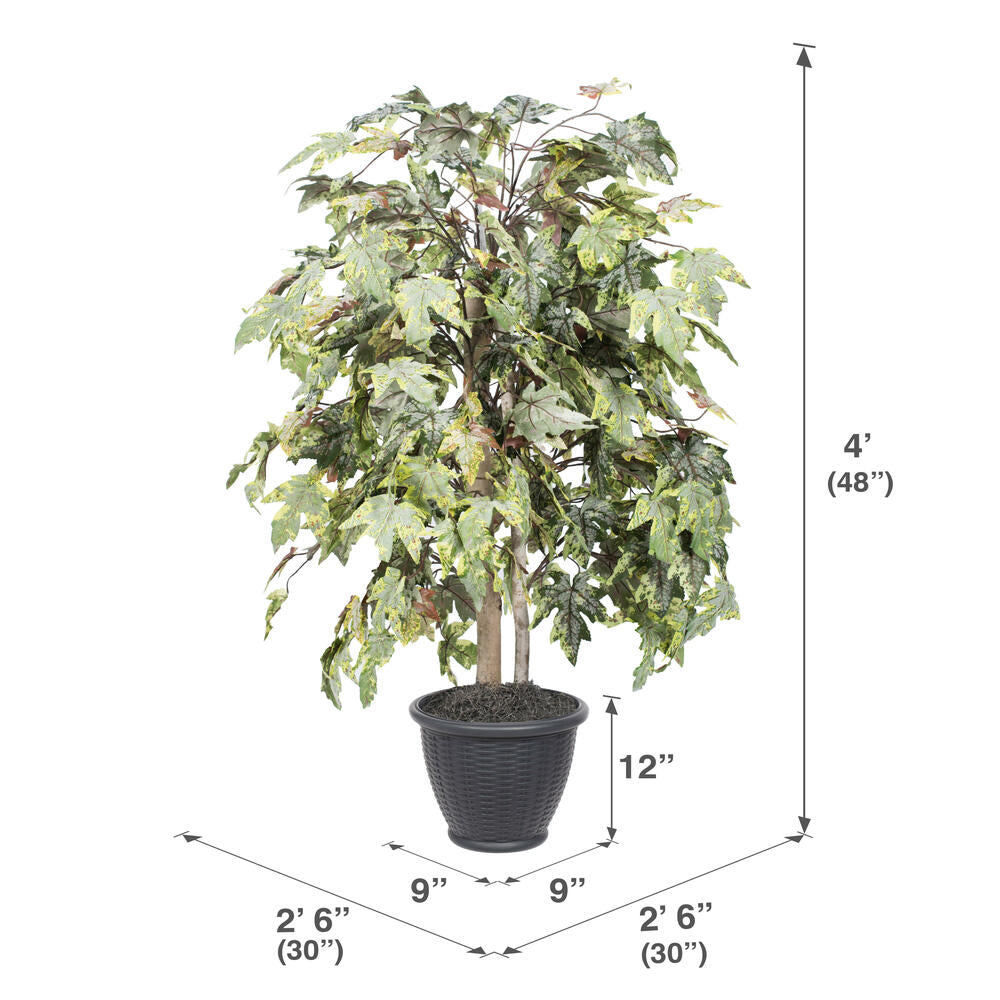 Vickerman 4' Artificial Frosted Maple Bush Gray Round Plastic Container.
