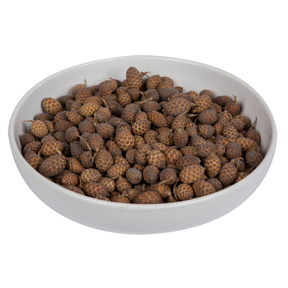 Vickerman Natural Botanicals 0.8-1.2 inch Cane Fruit Natural. Dried preserved natural product.