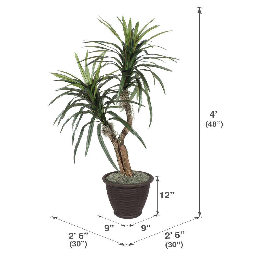 Vickerman 4' Artificial Marginata Bush Brown Plastic Container.