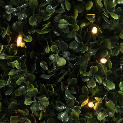 Vickerman 6' Potted Artificial Boxwood Cone with 200 Warm White LED Lghts.