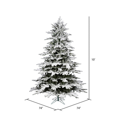 Vickerman 10' x 74" Unlit Flocked Kamas Fraser Artificial Christmas Tree