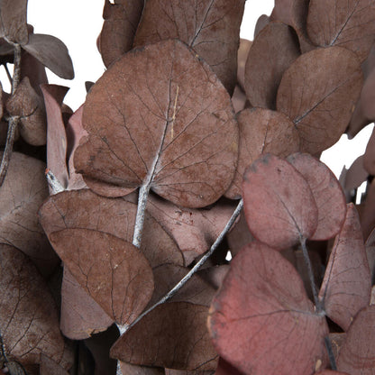 Vickerman Natural Botanicals 18-20" x 8" Eucalyptus Populus Red 1 lb per unit