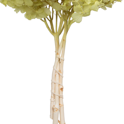 Vickerman 15" Apple Green Hydrangea with Multiple Branch Segments Preserved