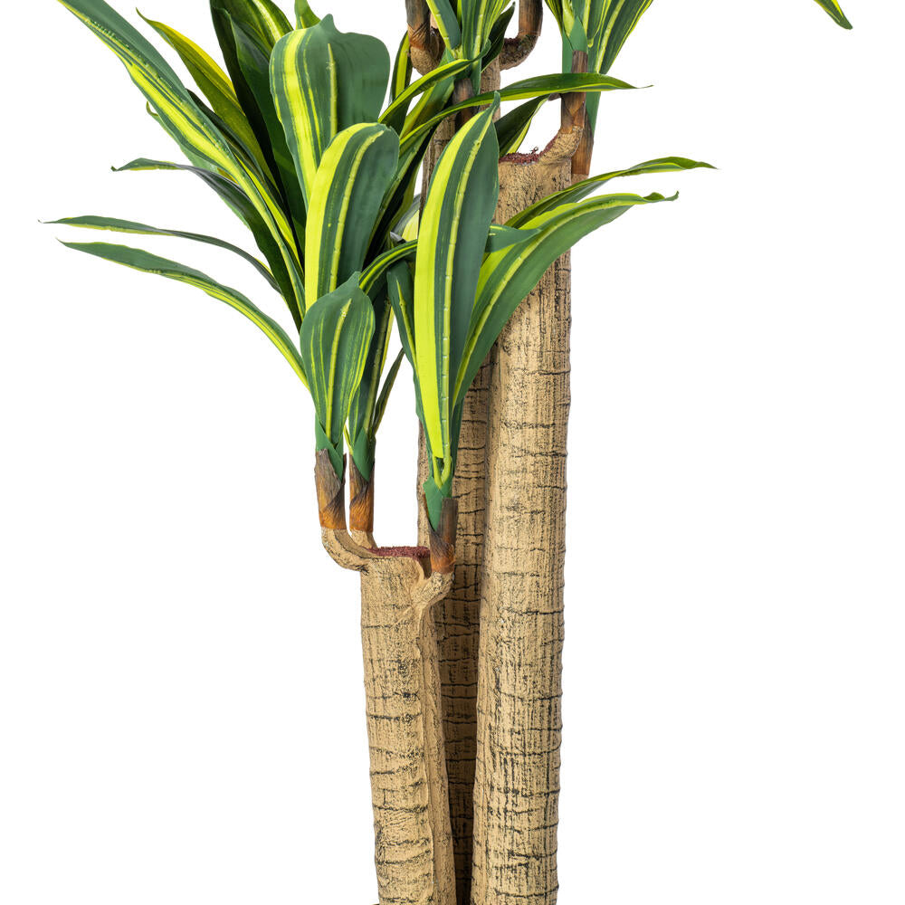 Vickerman 52" Artificial Potted Green and Yellow Real Touch Dracaena Tree.