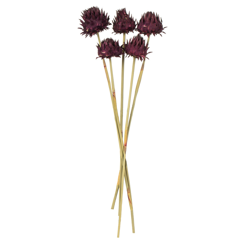 Vickerman 15" Violet Artichoke Head attached to a Reed Stem Dried