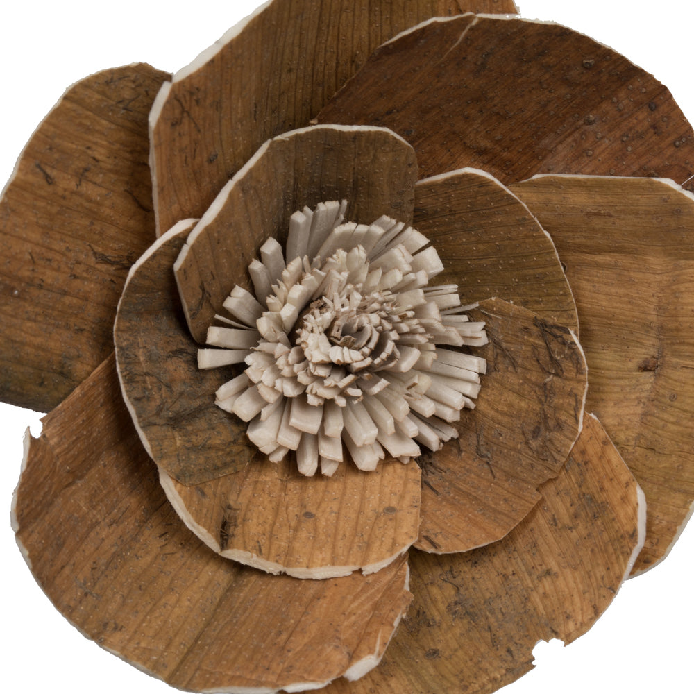 Vickerman Natural Botanicals 4" Walnut Sola Flower on 12" Stem - 12 stems/bag. Dried and preserved.