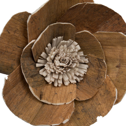Vickerman Natural Botanicals 4" Walnut Sola Flower on 12" Stem - 12 stems/bag. Dried and preserved.
