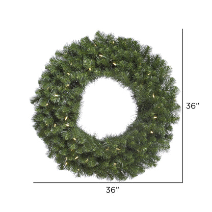 Vickerman 36" Douglas Fir Artificial Christmas Wreath Warm White LED Lights