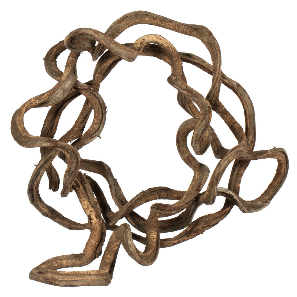 Vickerman 13" Natural Coiled Vine Dried
