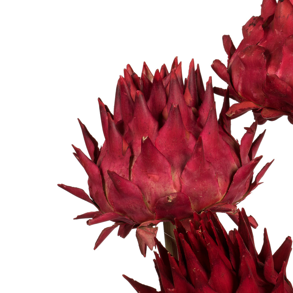 Vickerman 15" Red Artichoke Head attached to a Reed Stem.  Includes 9 Stems per Pack Dried
