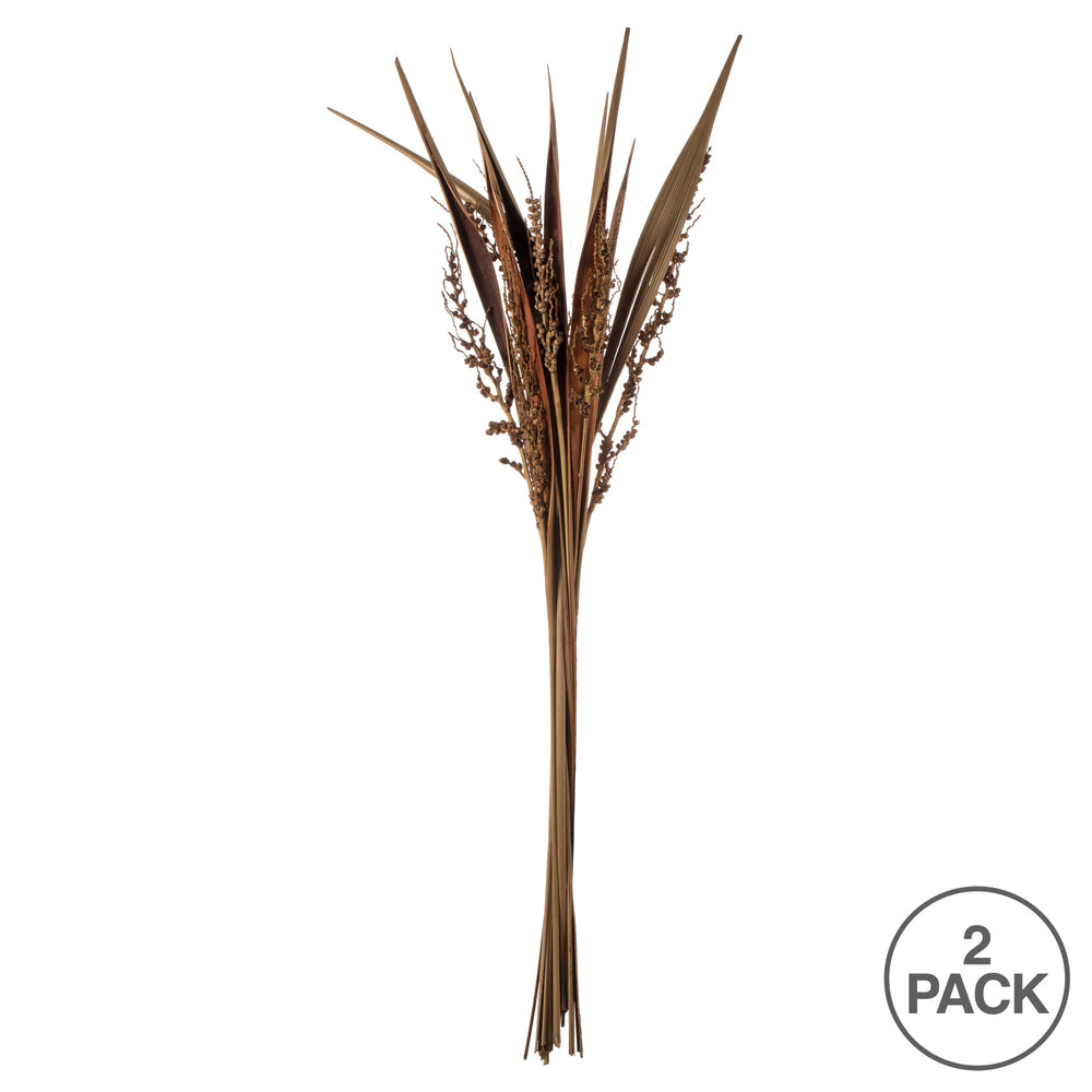 Vickerman 36" Natural Bahia Spears with Seeds 2 pack Dried