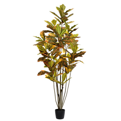 Vickerman 6' Potted Artificial Green and Orange Croton Tree.