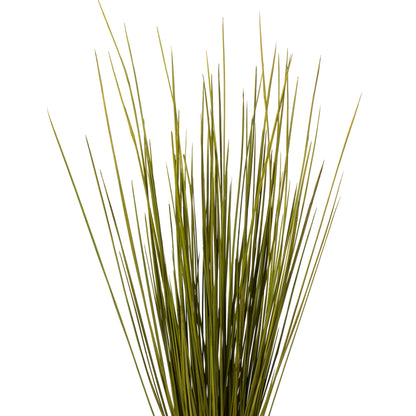 Vickerman 24-30" Basil Whip Grass 8 oz Bundle Dried