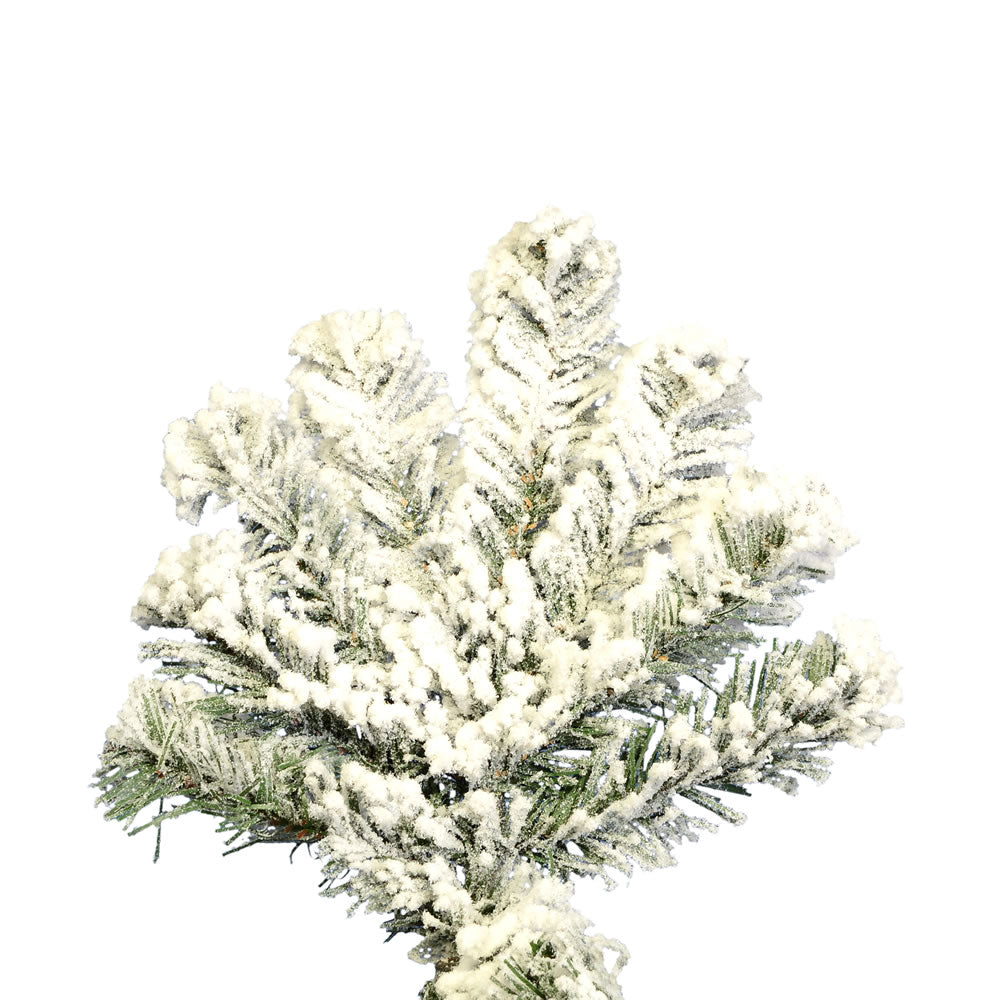 Vickerman 9' Medium Flocked Kodiak Spruce Artificial Christmas Tree Unlit