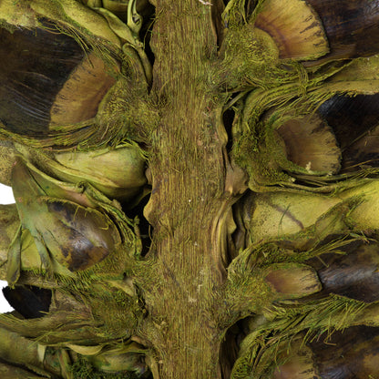 Vickerman 26-28" Basil Giant Seed Pod - Half