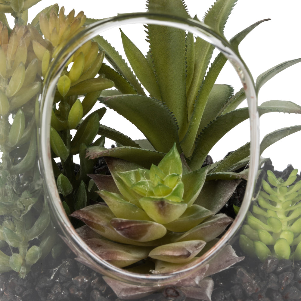 Vickerman 9" Artificial Green Assorted Succulents in Glass Jar.