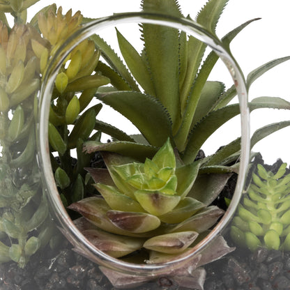Vickerman 9" Artificial Green Assorted Succulents in Glass Jar.