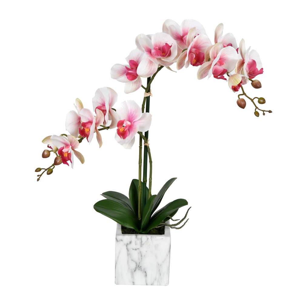 Vickerman 22" Artificial Potted Real Touch Pink and White Phalaenopsis Spray.