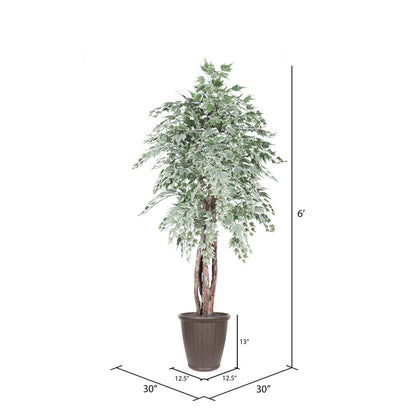 Vickerman 6' Artificial Silver Maple Executive Tree Brown Round Plastic Container.