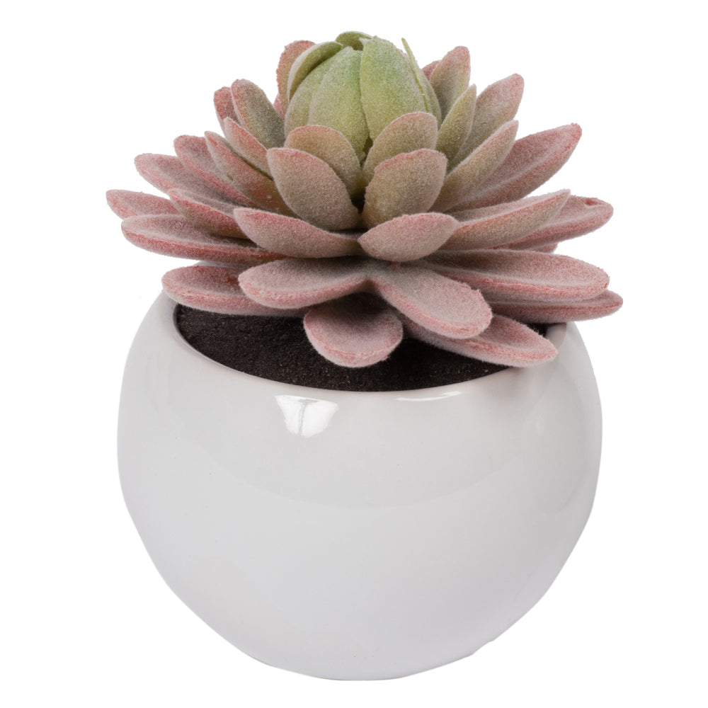 Vickerman 3.5" Artificial Green Succulents Assorted Set in Containers 4/pk
