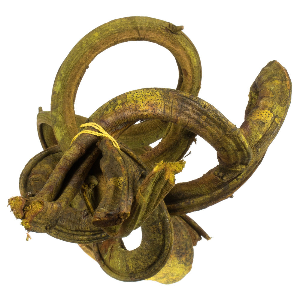 Vickerman 18-22" Basil Twisted Vine Bundle 3 pack