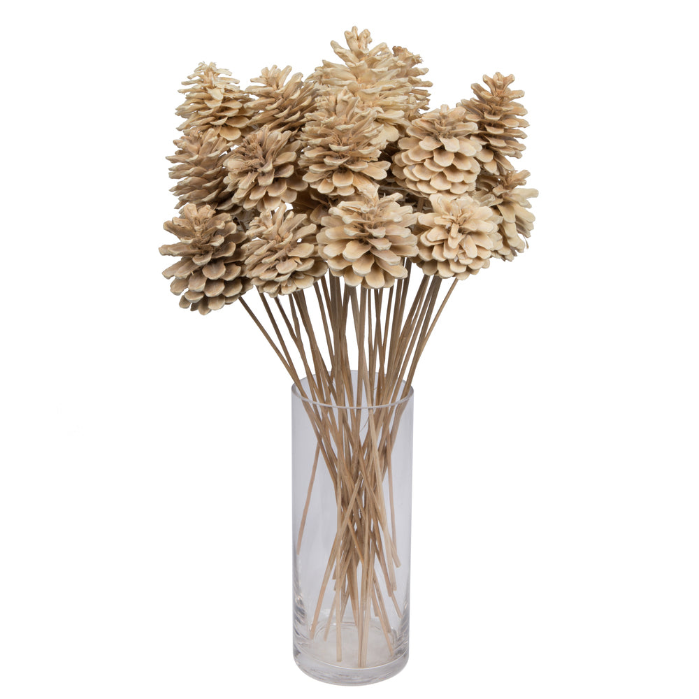Vickerman Natural Botanicals 2" Blue Pine Bleached on Stem. Includes 25 pieces per unit.