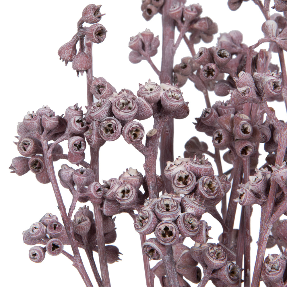 Vickerman Natural Botanicals 13" x 1-3" Red Gum Branch Erika Frosted 14 stems per unit