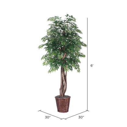 Vickerman 6' Artificial Ming Aralia Executive Rattan Basket.