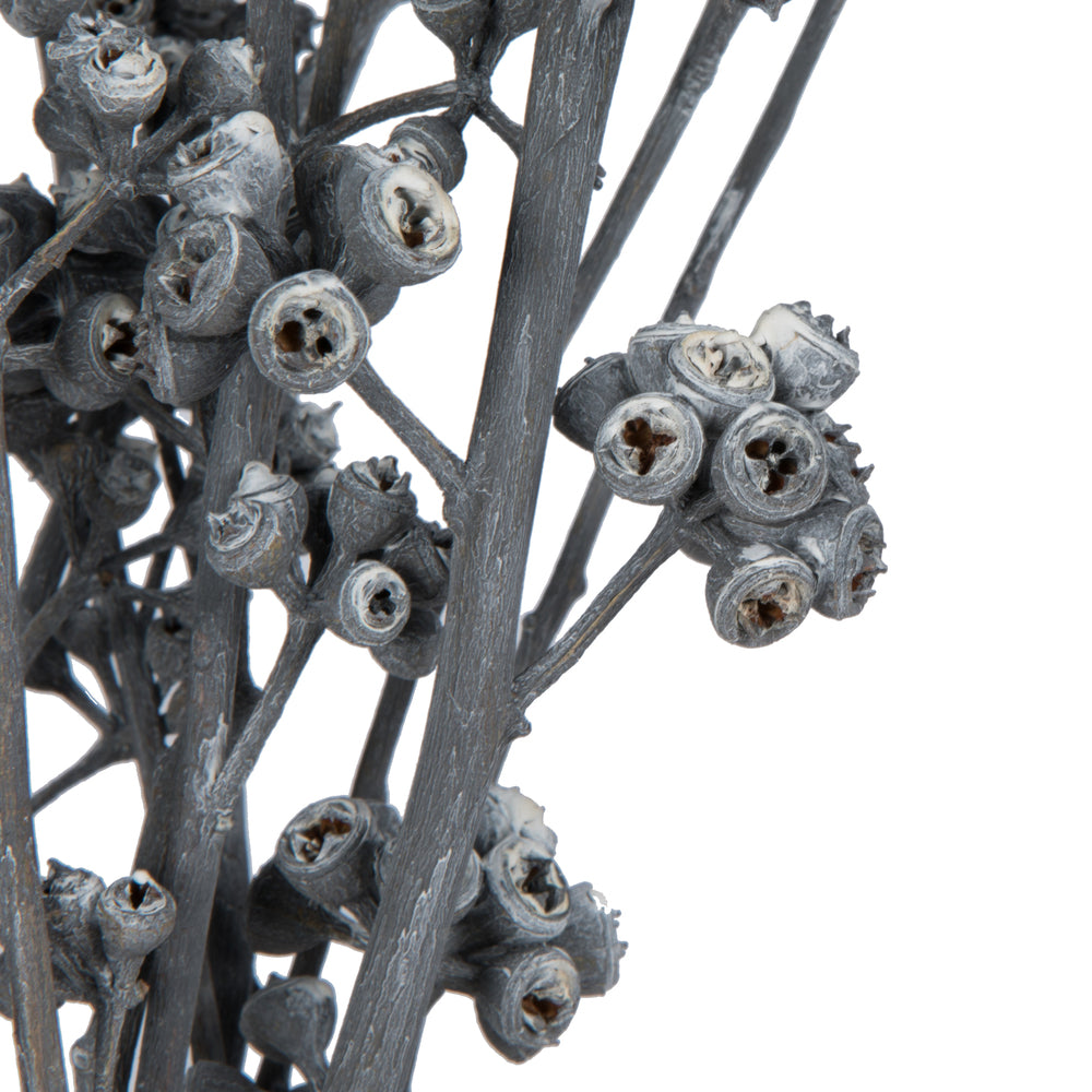 Vickerman Natural Botanicals 13" x 1-3" Red Gum Branch Gray Frosted 14 stems per unit