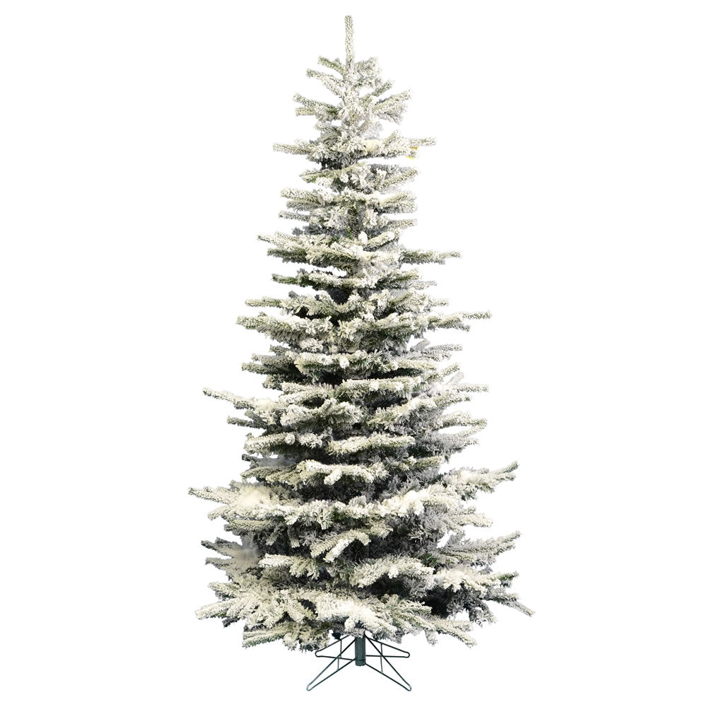 Vickerman 10' Flocked Sierra Fir Slim Artificial Christmas Tree Unlit