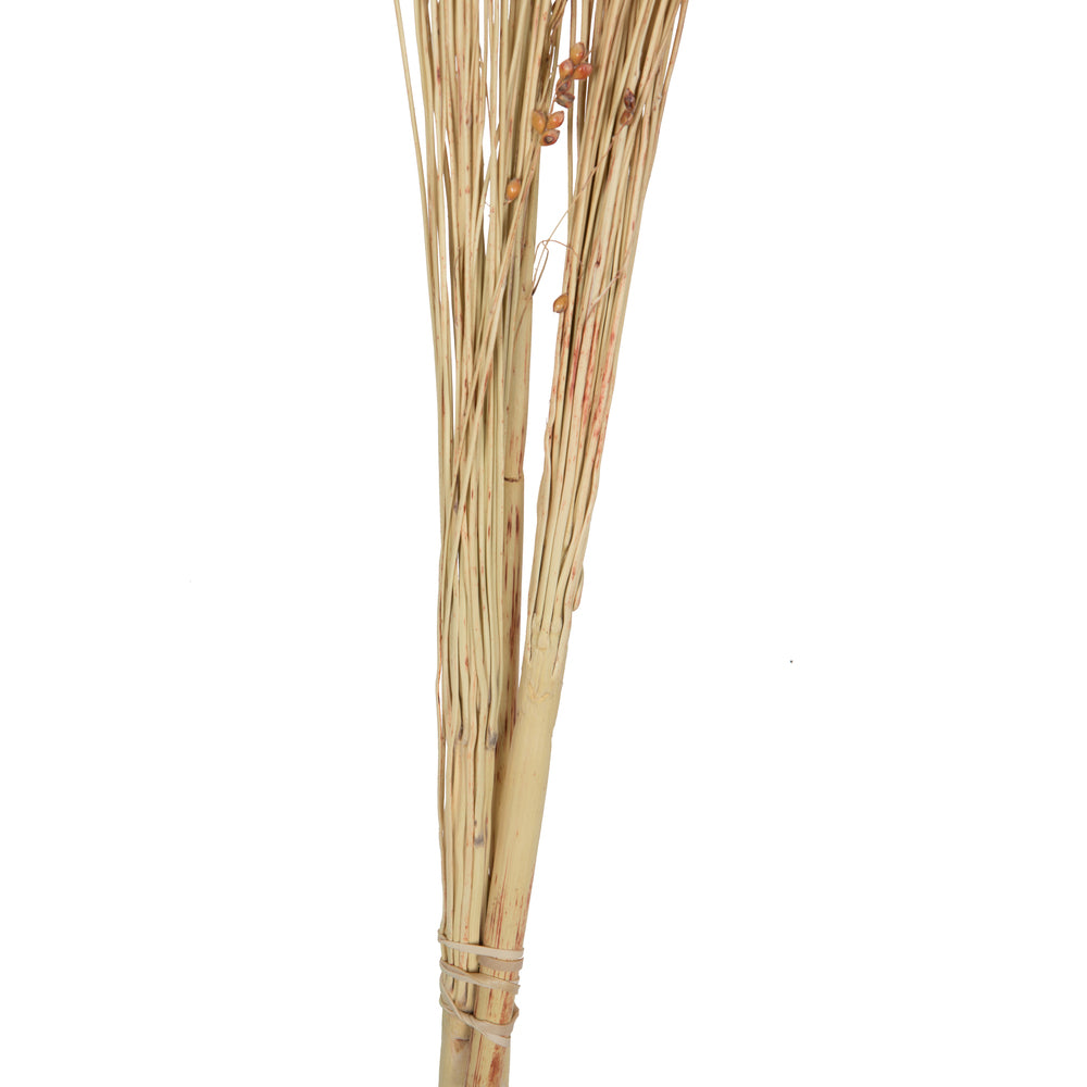 Vickerman Natural Botanicals 21-23" Natural Brown Dried Broom Corn 6 oz. Bunch