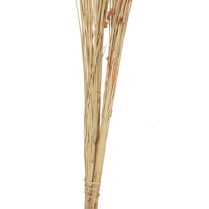 Vickerman Natural Botanicals 21-23" Natural Brown Dried Broom Corn 6 oz. Bunch
