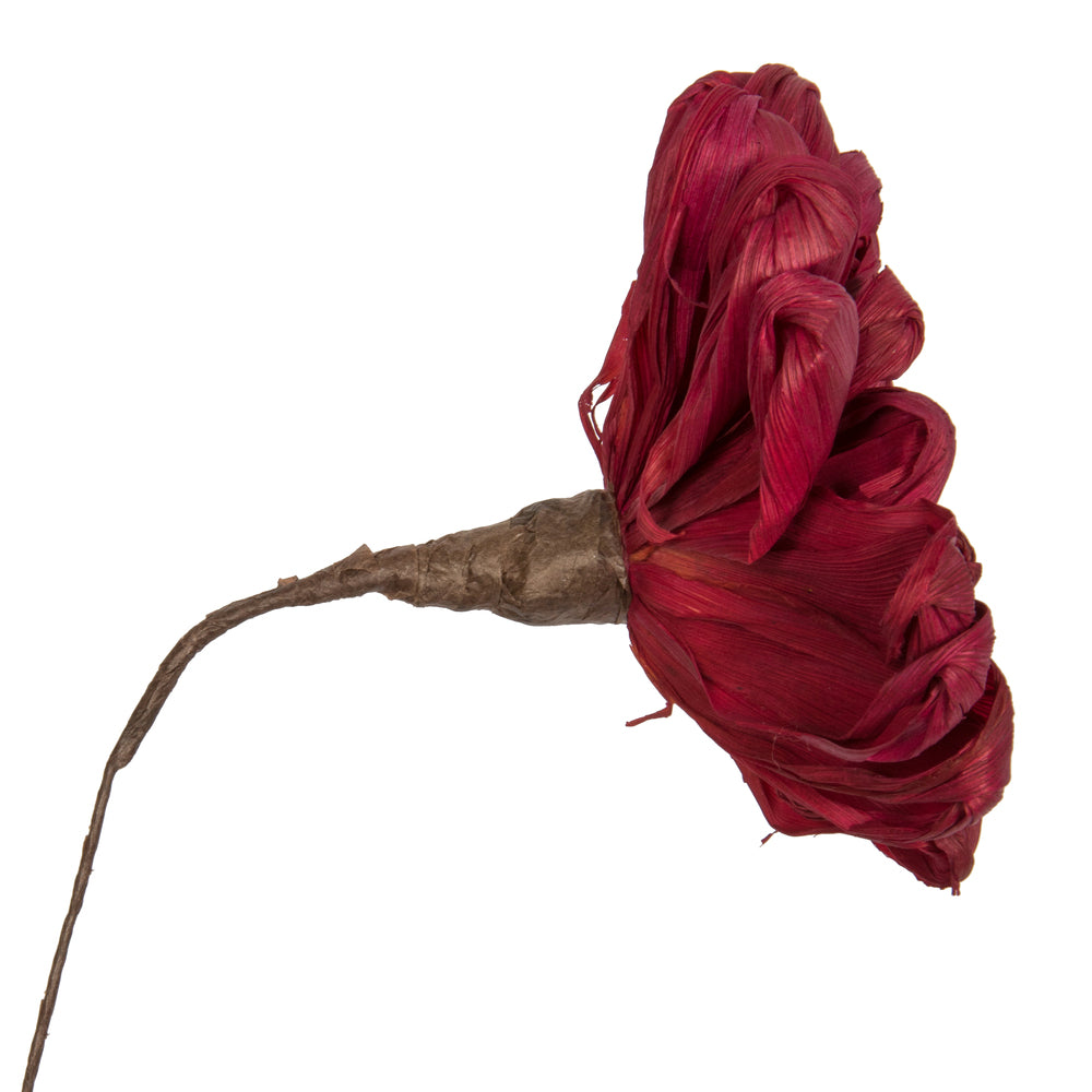 Vickerman Natural Botanicals 6" Bordeaux Maize Dahlia on 18" wire stem- 6 stem/bag. Dried and preserved.