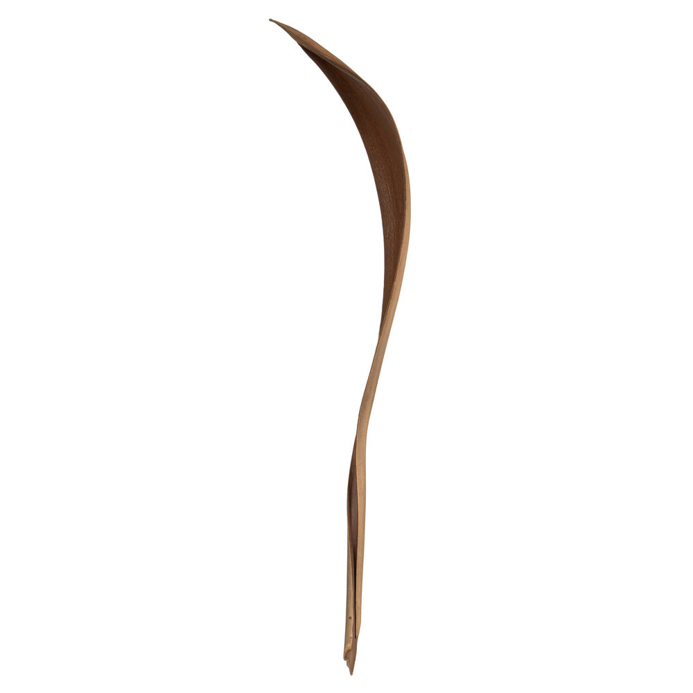 Vickerman 24-30" Natural Palm Paddle Set of 3 Dried