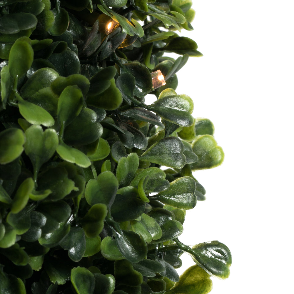Vickerman 6' Potted Artificial Boxwood Cone with 200 Warm White LED Lghts.