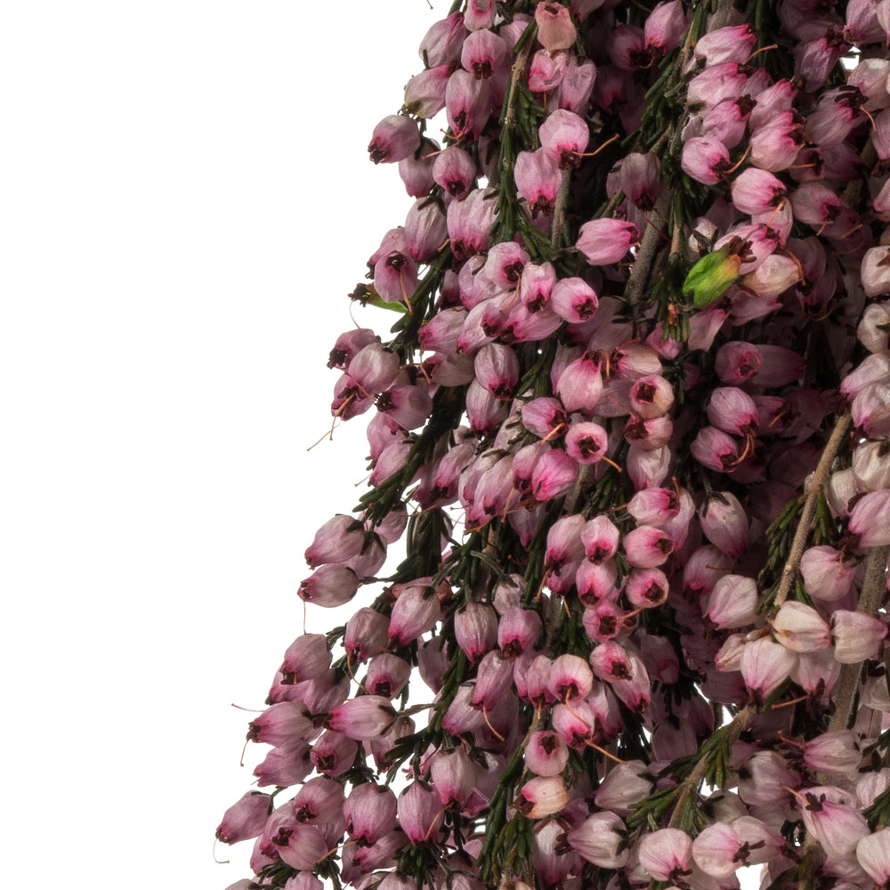 Vickerman 18-20" Pink Heather (Erica) - 4-5 oz Bundle Preserved
