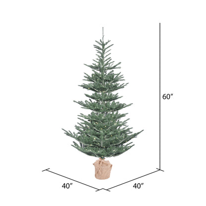 Vickerman 5' Alberta Blue Spruce Artificial Christmas Tree Warm White Dura-lit LED Lights