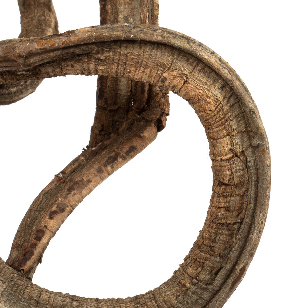 Vickerman 13" Natural Coiled Vine Dried