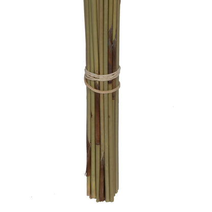 Vickerman Natural Botanicals 33" x 5" Thatch Reed 100 grams per Unit